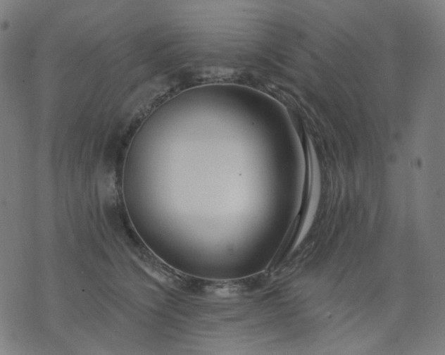 X0000074280564200609081830