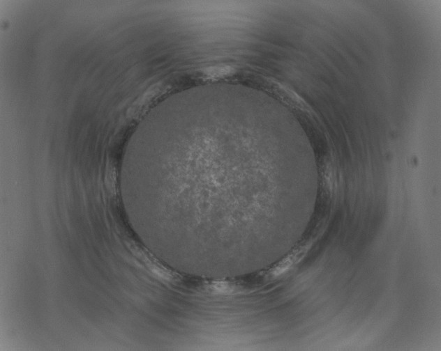 X0000074280565200609081830