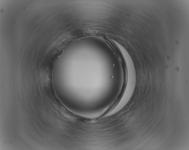 X0000074280566200609081830