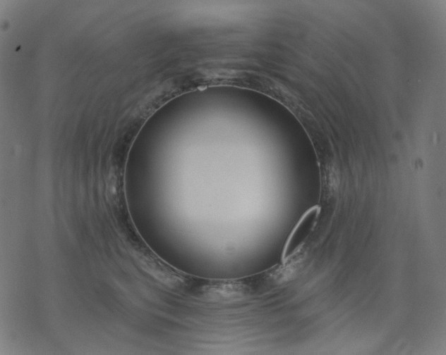 X0000074280567200609081830