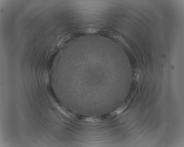 X0000074280568200609081830