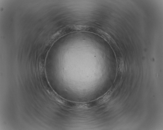 X0000074280569200609081830