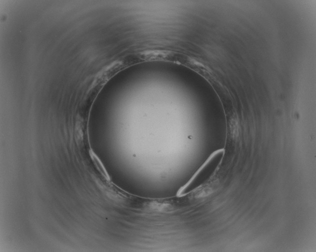 X0000074280570200609081830