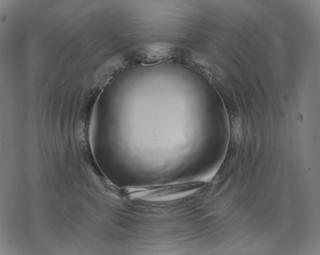 X0000074280571200609081830