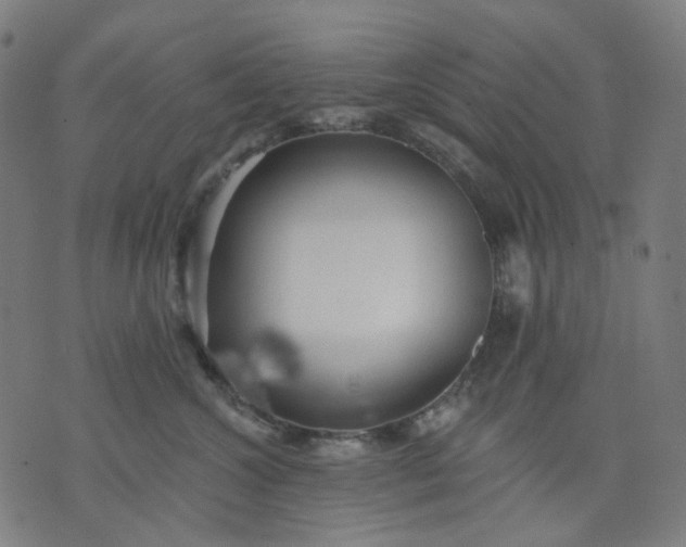 X0000074280572200609081830