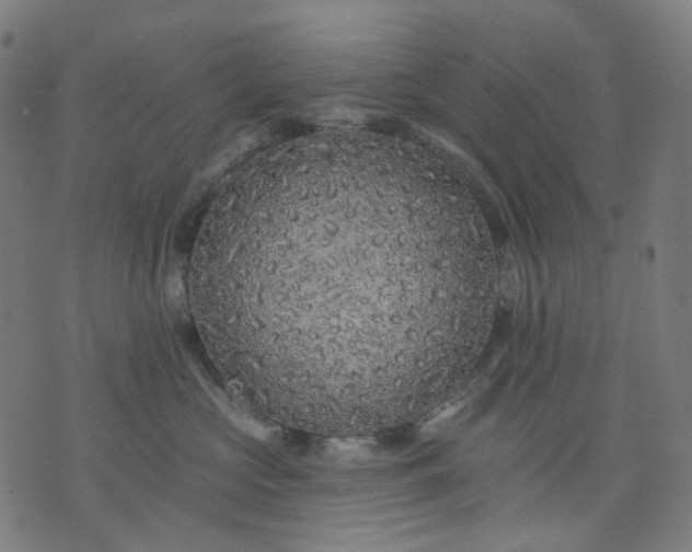 X0000074280573200609081830