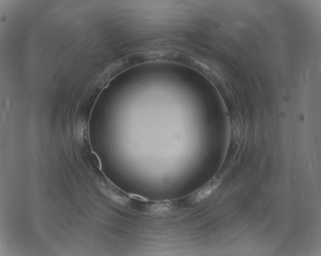 X0000074280574200609081830