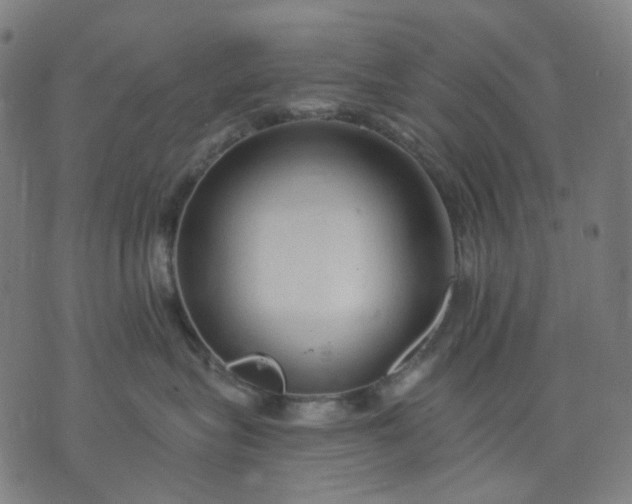 X0000074280575200609081830