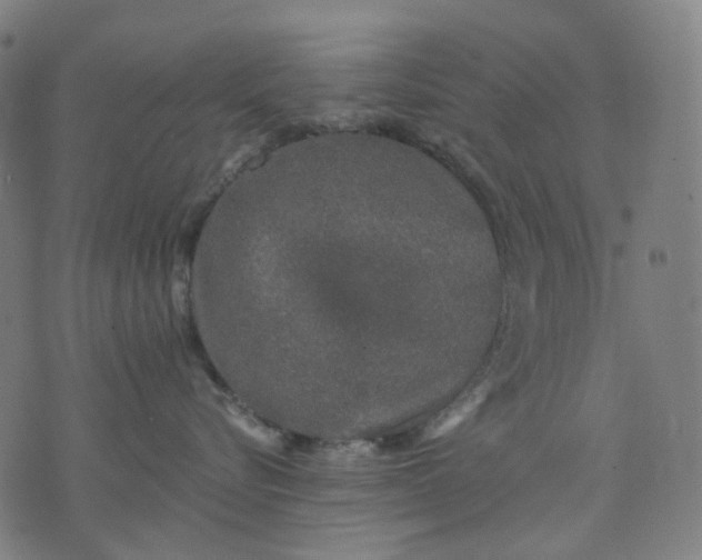 X0000074280576200609081830