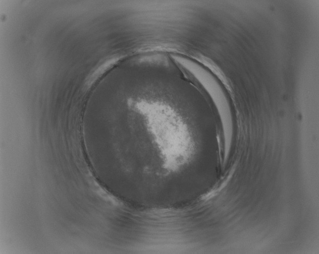 X0000074280577200609081829