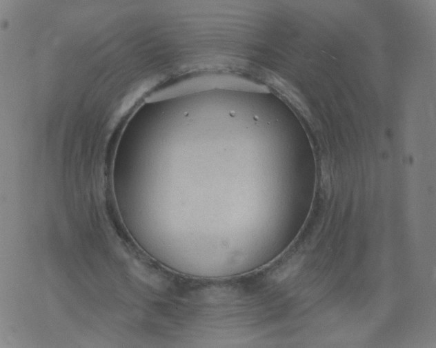 X0000074280578200609081829