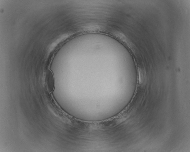 X0000074280579200609081829