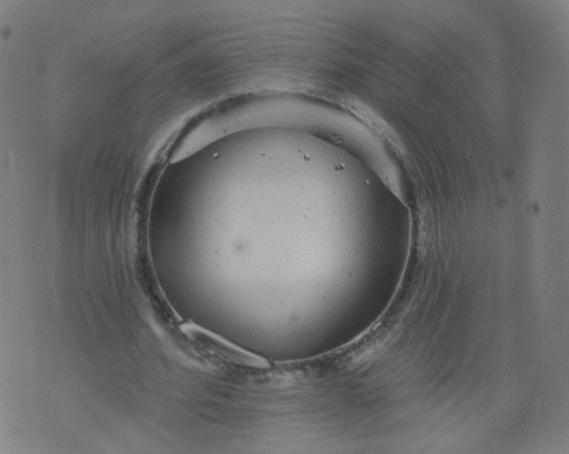 X0000074280580200609081829