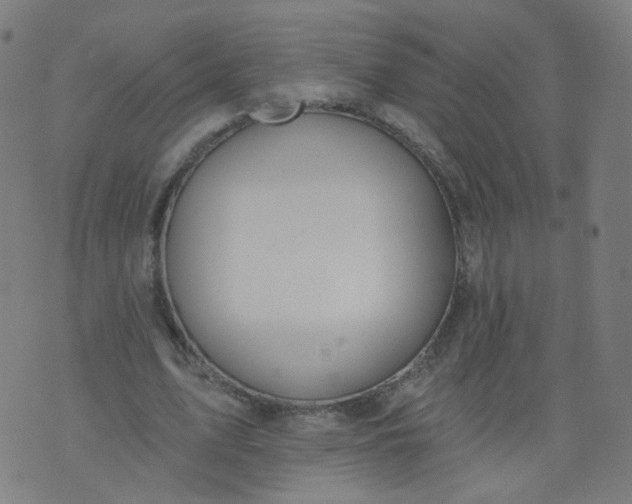 X0000074280583200609081829