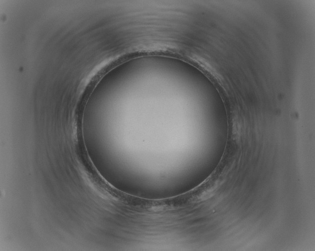 X0000074280584200609081829