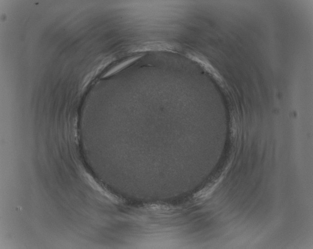 X0000074280585200609081829