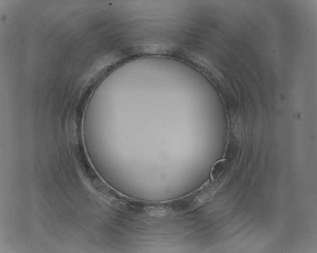 X0000074280587200609081829