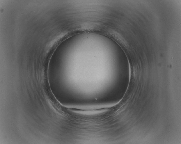 X0000074280588200609081829