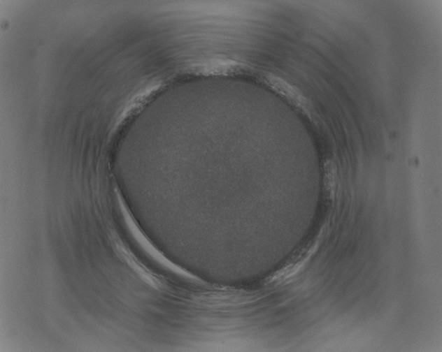 X0000074280589200609081829