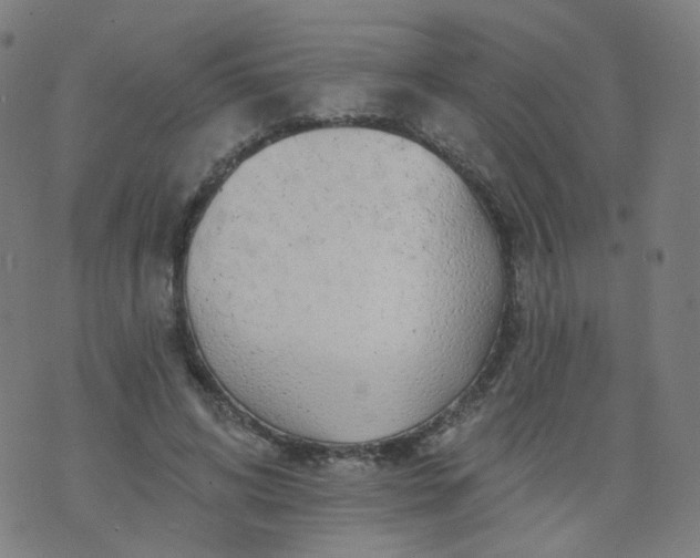 X0000074280592200609081829