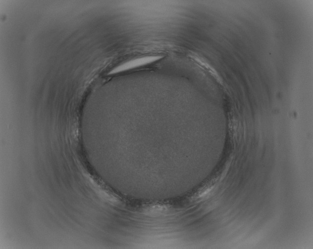 X0000074280593200609081829