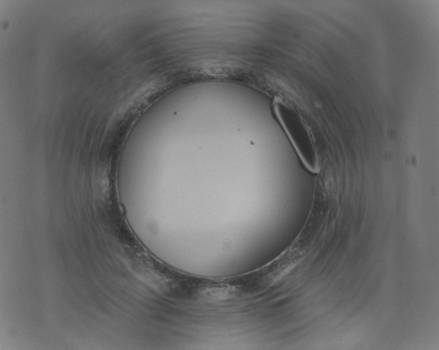 X0000074280595200609081829