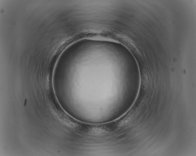 X0000074280596200609081829