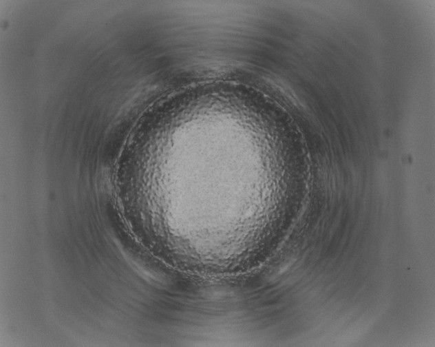 X0000074280598200609081829