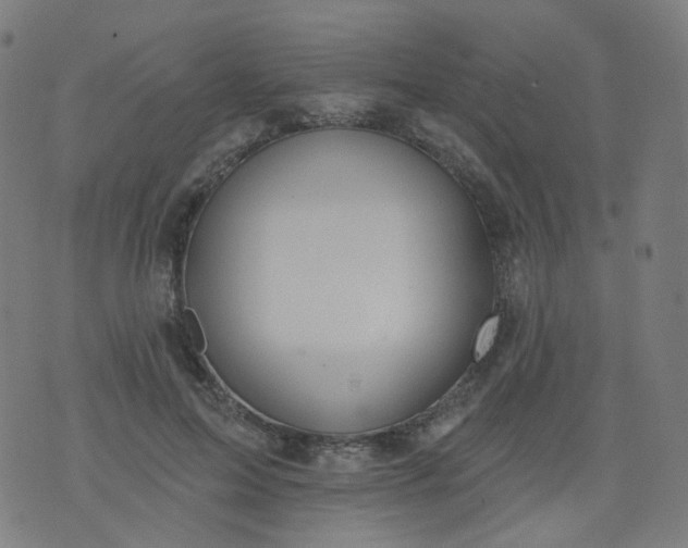 X0000074280599200609081829