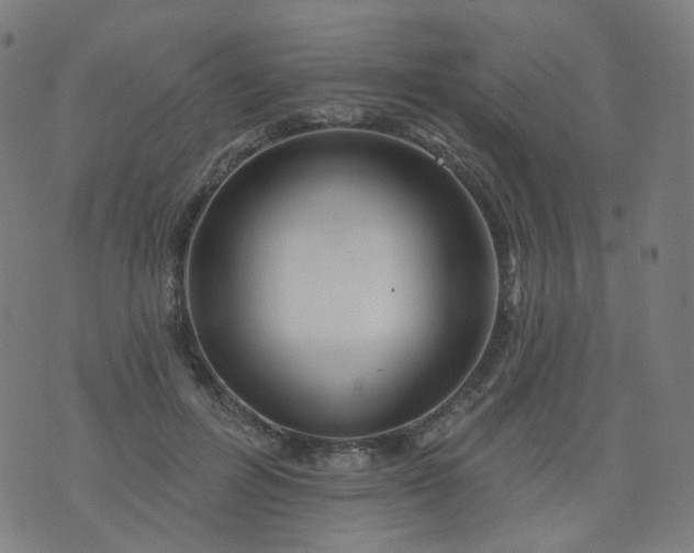 X0000074280600200609081829