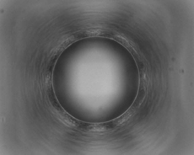 X0000074280601200609081829