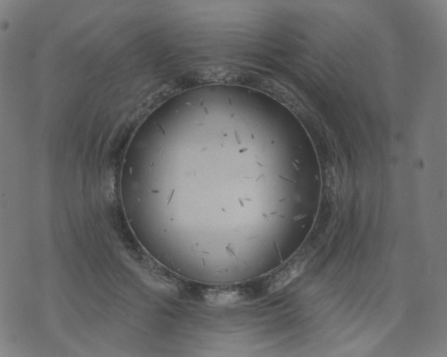 X0000074280602200609081829