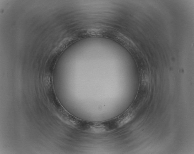 X0000074280603200609081829