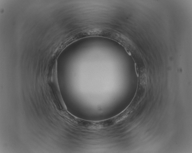 X0000074280604200609081829