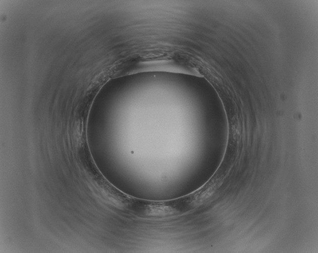 X0000074280605200609081829