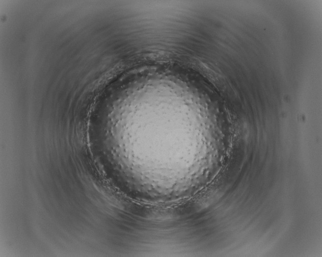 X0000074280606200609081829