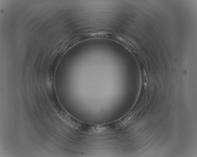 X0000074280607200609081829