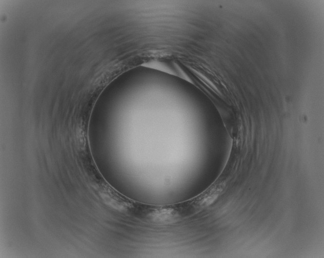 X0000074280609200609081828