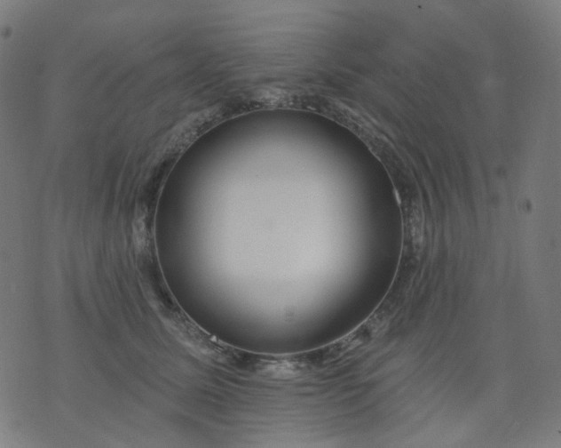 X0000074280611200609081828