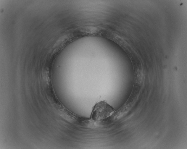 X0000074280612200609081828