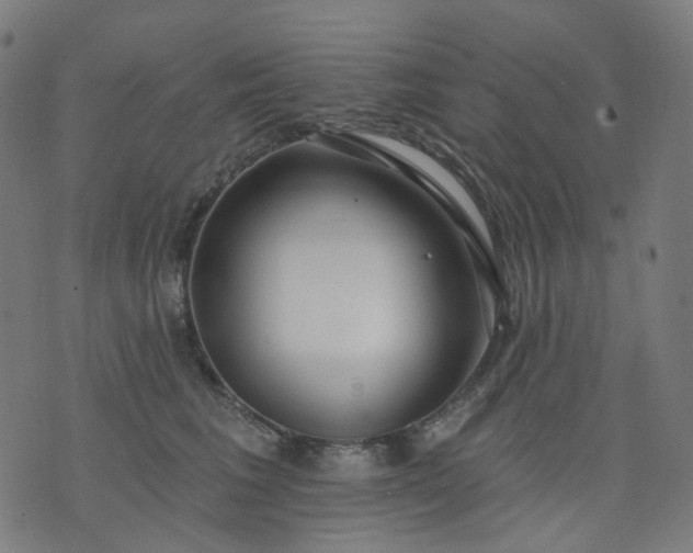 X0000074280613200609081828