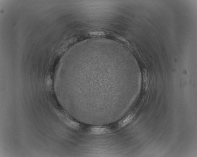 X0000074280614200609081828