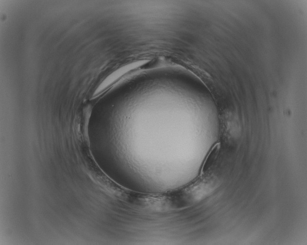 X0000074280615200609081828