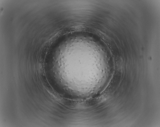 X0000074280618200609081828