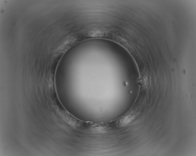 X0000074280620200609081828