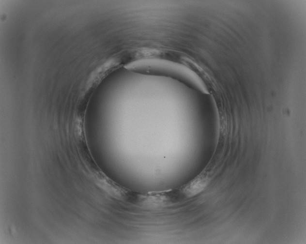 X0000074280621200609081828