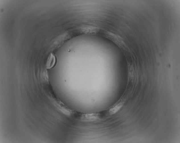 X0000074280622200609081828