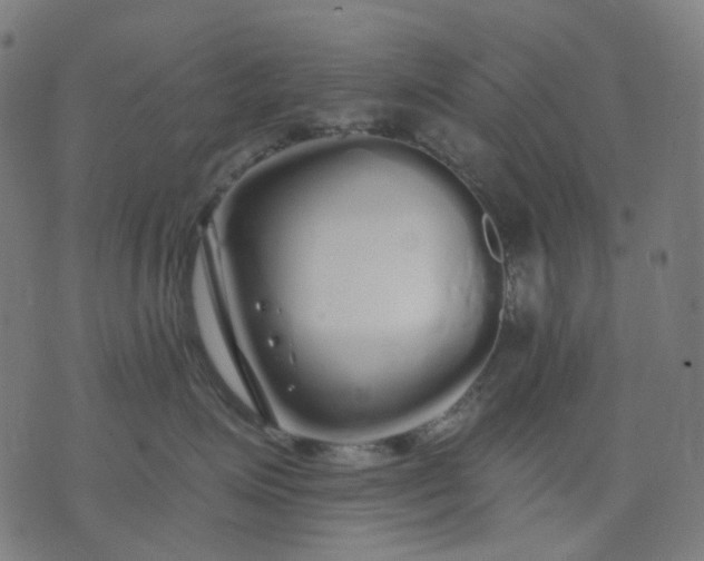 X0000074280623200609081828