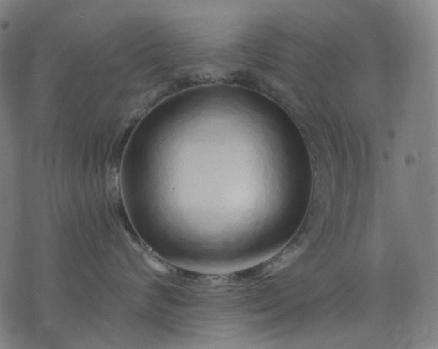 X0000074280624200609081828