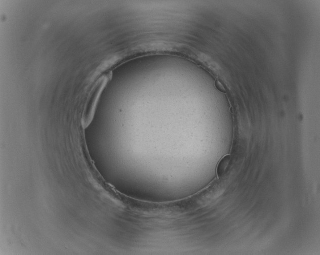 X0000074280625200609081827